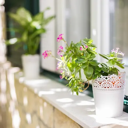 Apartamento Shiny Split