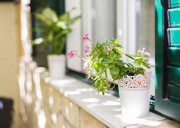 Apartament Shiny Split